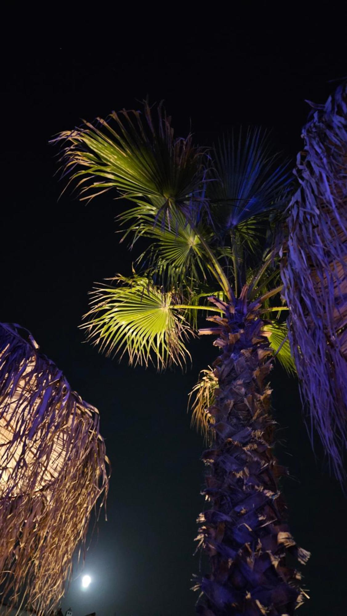 Elli Tropical Suites Mykonos Town Luaran gambar