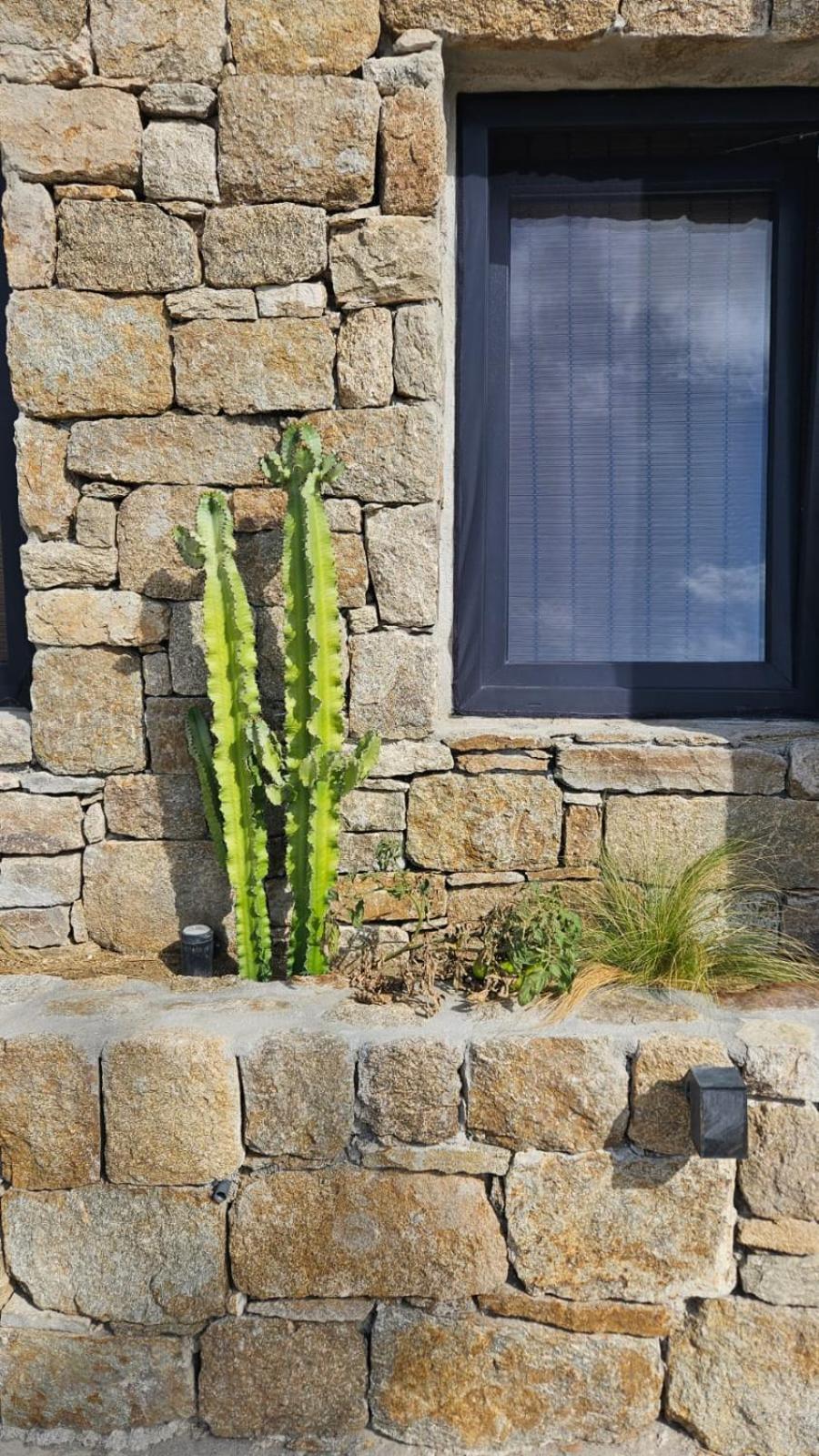 Elli Tropical Suites Mykonos Town Luaran gambar