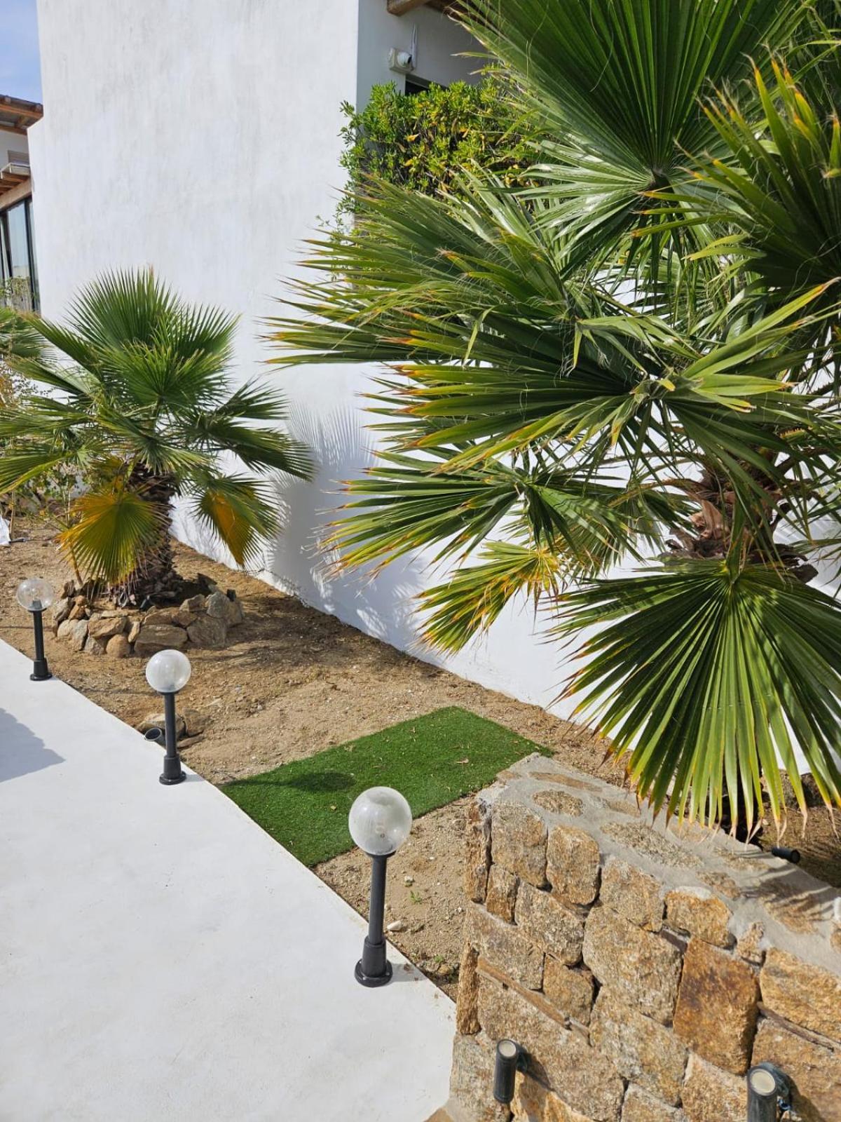 Elli Tropical Suites Mykonos Town Luaran gambar